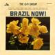 Brazil Now