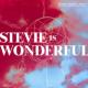 Stevie Is Wonderful