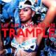 Lif Up Yuh Leg An Trample �yCopy Control CD�z