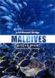 Virtual Trip: Maldives: Divingview