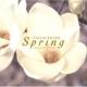 Spring-Homage To Flowers-
