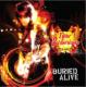 Buried Alive Live In Maryland