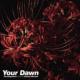 Your Dawn: Feat.Tomomi Ukumori
