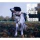 Mellow Beats: Spirits & Freedom