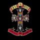 Appetite For Destruction