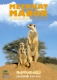 Meerkat Manor Season 1 Dvd Box