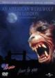 An American Werewolf In London