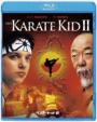 The Karate Kid Part 2