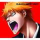 Bleach Berry Best