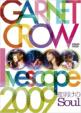 GARNET CROW livescope 2009 �`�閾����Soul�`