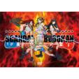 SCANDAL JAPAN TITLE MATCH LIVE 2012 -SCANDAL vs BUDOKAN-