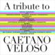 Tribute To Caetano Veloso