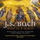 Mass in B Minor : Fasolis / Sonatori de la Gioiosa Marca, Pregardien, Mertens, Invernizzi, Dawson, etc (2CD)