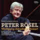 Piano Works: Rosel(P)
