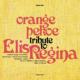 Tribute To Elis Regina