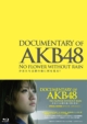 DOCUMENTARY OF AKB48 NO FLOWER WITHOUT RAIN ͗܂̌ɉH XyV GfBV