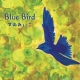 Blue Bird