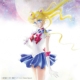 Pretty Guardian Sailor Moon The 20th Anniversary Memorial Tribute