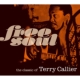 Free Soul.The Classic Of Terry Callier