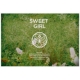 6th Mini Album: SWEET GIRL (BOY Ver.)ypՁz(CD+DVD+GOODS)