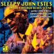 Om The Chicago Scene: Electric Sleep