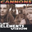 Life Elements Vision