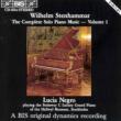 Complete Solo Piano Music Vol.1: Negro
