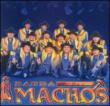 Banda Machos