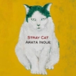 Stray Cat
