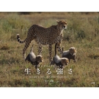 ���q�T��