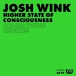 Higher State Of Consciousness (Adana Twins Remix)