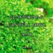 Crystal Bowl Meets v