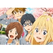 Your Lie In April Blu-Ray Disc Box