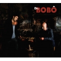Dr Bobo