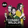 Teenage Worldlife: 25 Years Of Ash (2gAiOR[h)