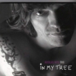 In My Tree