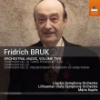 Orchestral Works Vol.2 -Symphonies Nos.19, 20, 21 : Kupcs / Liepaja So, Lithuanian National So