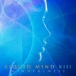 Liquid Mind Xiii: Mindfulness