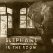 Elephant In The Room