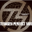 Tebasen Dj Mix