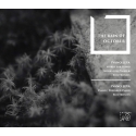 The Rain Of October: Ivano Leva(P, Electronics)