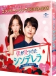 Boku ga Mituketa Cinderella BOX1(complete simple DVD-BOX series)(kikangenteiseisan)