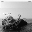 What Is There (Clear With Black Marbling Vinyl)