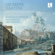 Violin Concertos: E.sviridov(Vn)/ Millenium O