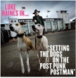 Luke Haines In...setting The Dogs On The Post Punk Postman