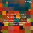 ヴィオラ・ソナタ第1番、第2番、2つの歌、他　アントワン・タメスティ、セドリック・ティベルギアン、マティアス・ゲルネ