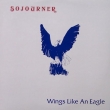 Wings Like An Eagle
