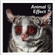 Animal Effect