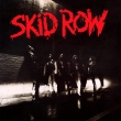 Skid Row (シルヴァーヴァイナル仕様/アナログレコード)