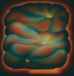 Softer Focus